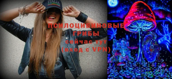 ешки Вяземский