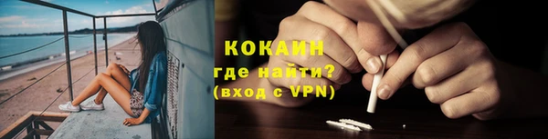 ешки Вяземский