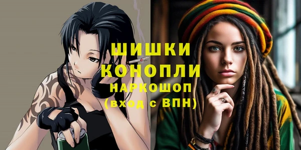 ешки Вяземский
